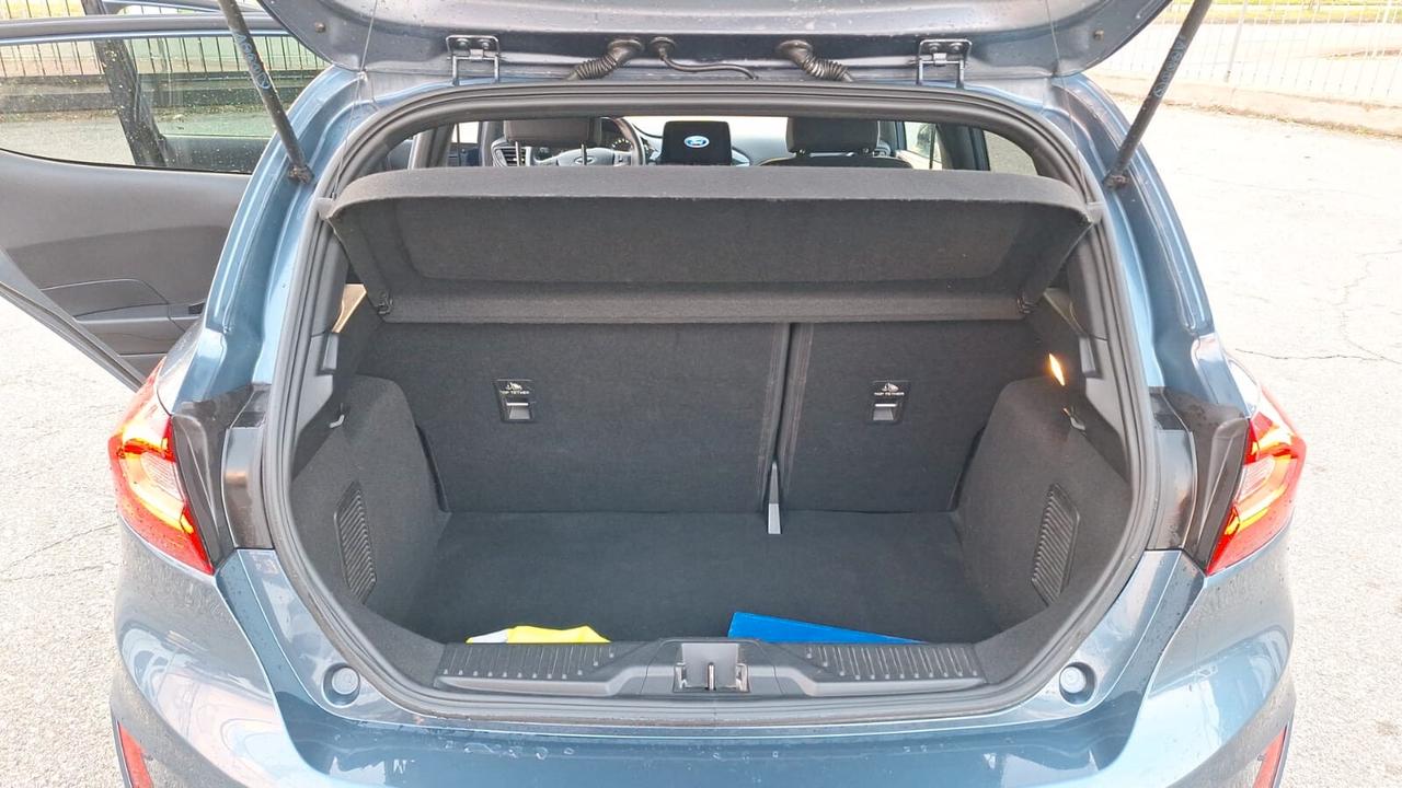 Ford Fiesta 1.0 Ecoboost Hybrid 125 CV 5 porte ST-Line