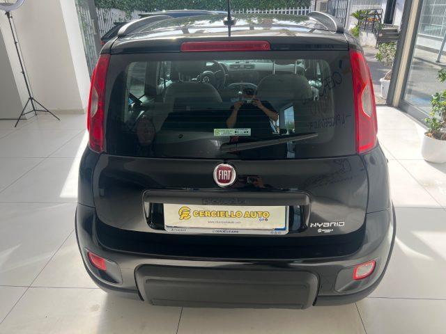 FIAT Panda 1.0 FireFly S&S Hybrid City Life da ?129,00 mensil