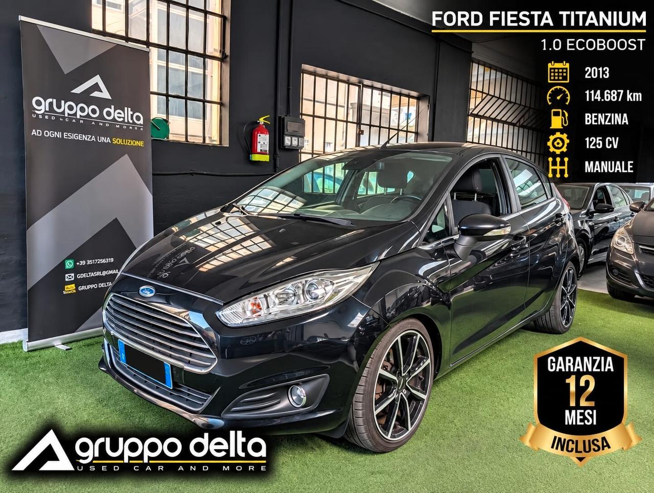 Ford Fiesta 1.0 Ecoboost TITANIUM GARANZIA 12 MESI