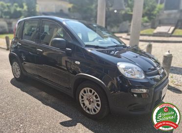 FIAT Panda 1.0 FireFly S&S Hybrid UNICO PROP