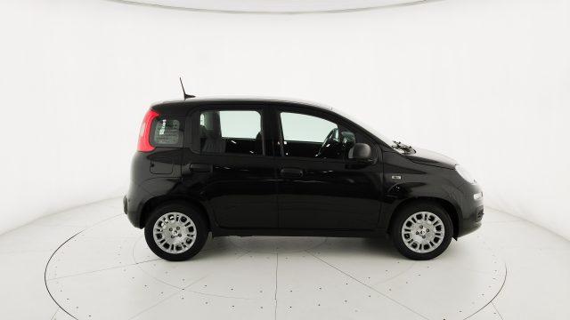 FIAT Pandina 1.0 FireFly 65 CV Hybrid Icon