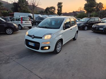 Fiat Panda 1.2 Easy Van 4 posti - 2020