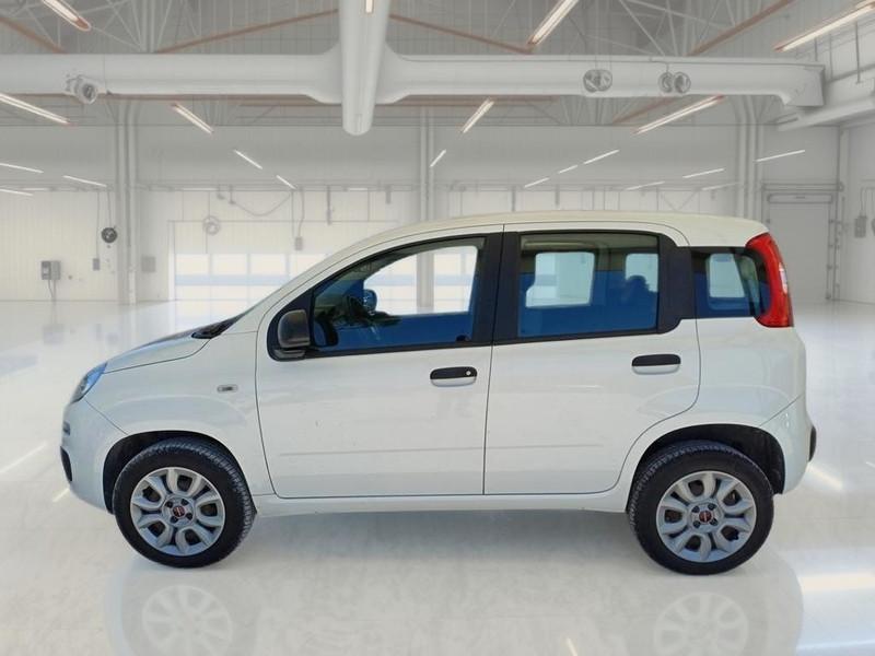 FIAT PANDA 0.9 TWINAIR TURBO NATURAL POWER EASY 5 PORTE BERLINA