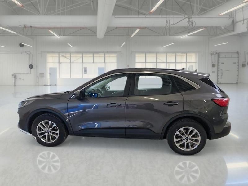 FORD KUGA 1.5 ECOBLUE 120 CV 2WD TITANIUM BUS. AUTO SUV