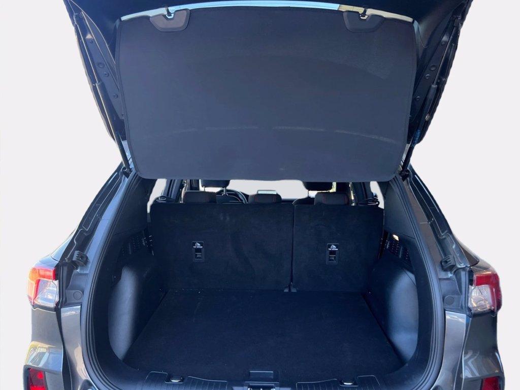 FORD Kuga 1.5 EcoBoost 150 CV 2WD ST-Line del 2023