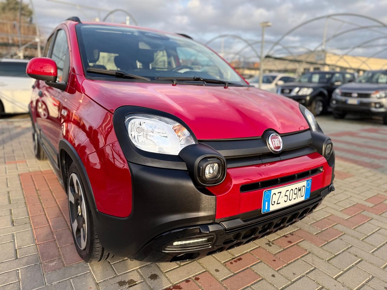 Fiat Panda CROSS 1.0 FireFly S&S Hybrid Pandina