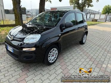 FIAT Panda 1.2 Pop Clima ,5 Posti