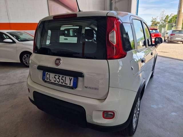 Fiat Panda Panda 1.0 City Cross s