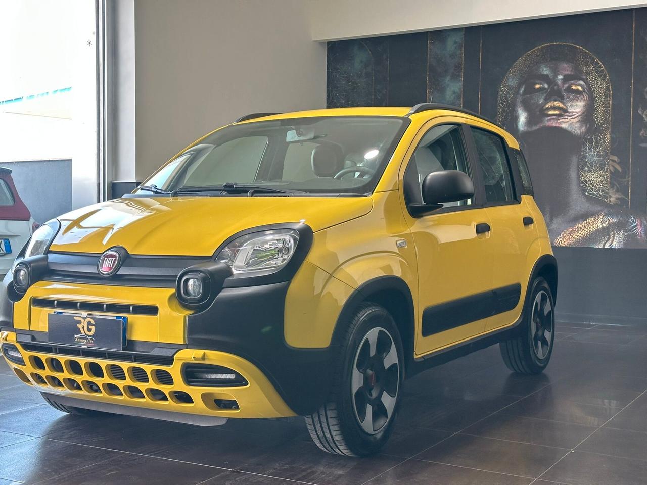 Fiat Panda FireFly S&S City Cross 2020 1.0 Ibrido/Benzina