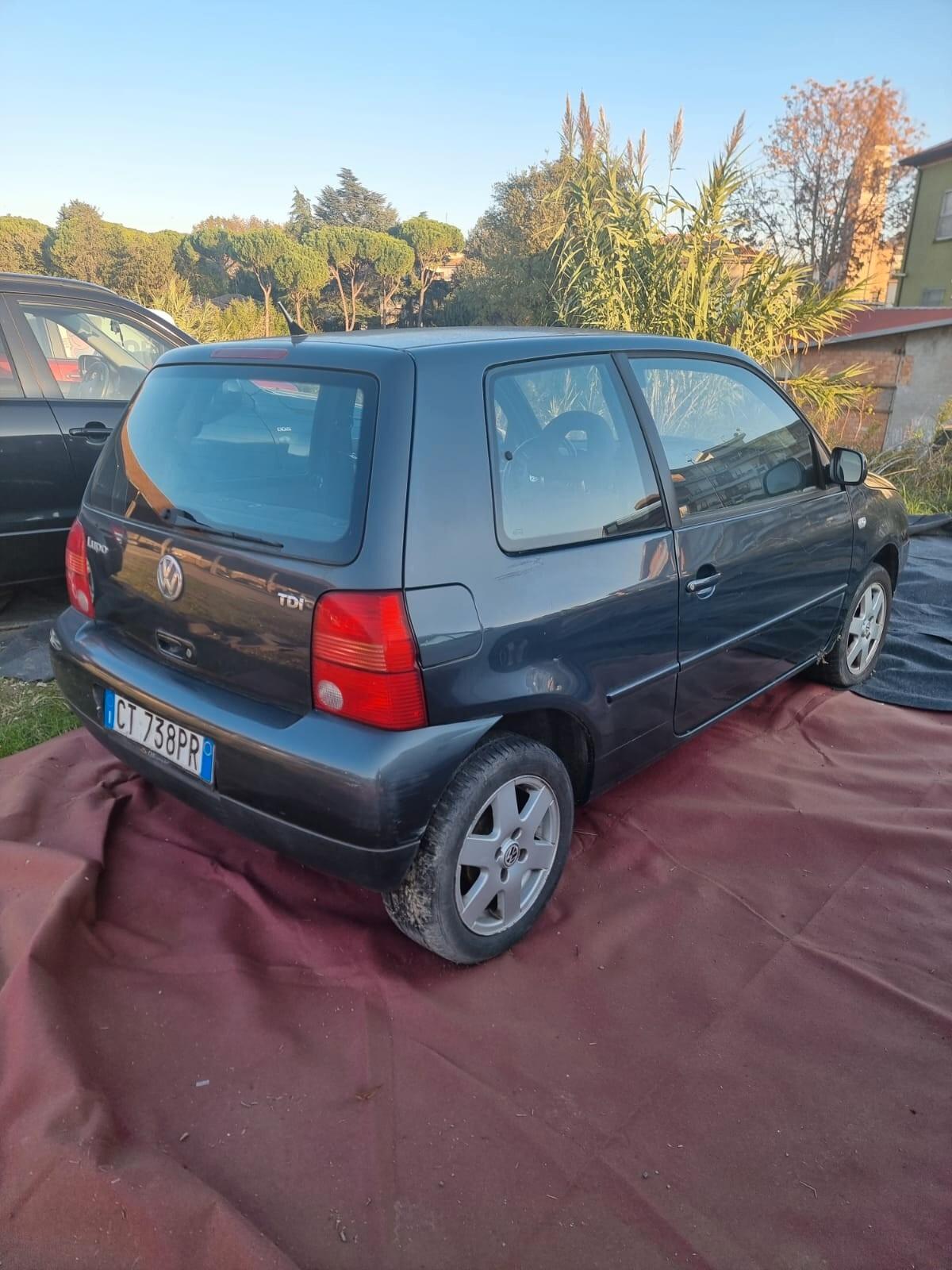 Volkswagen Polo 1.4/80CV TDI 5p. Comfortline