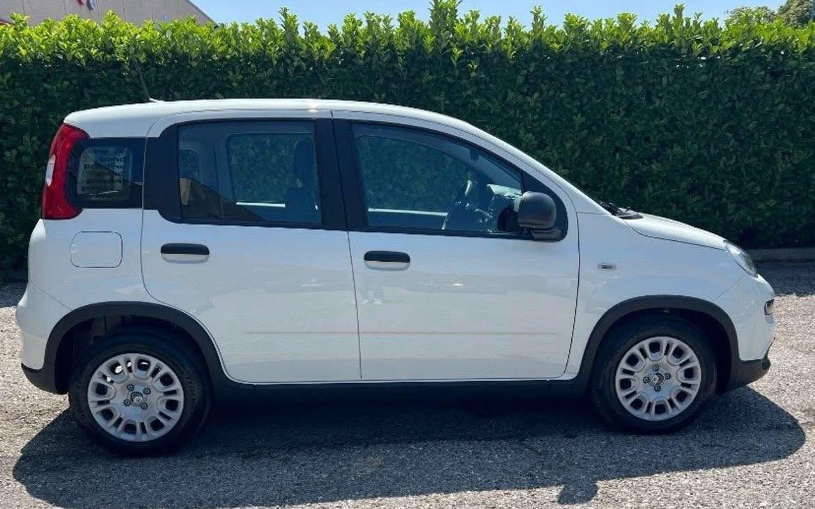 Fiat Panda 1.0 FireFly S&S Hybrid AUTO A NOLEGGIO