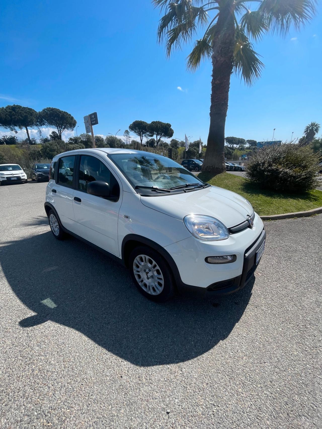 Fiat Panda 1.0 FireFly S&S Hybrid