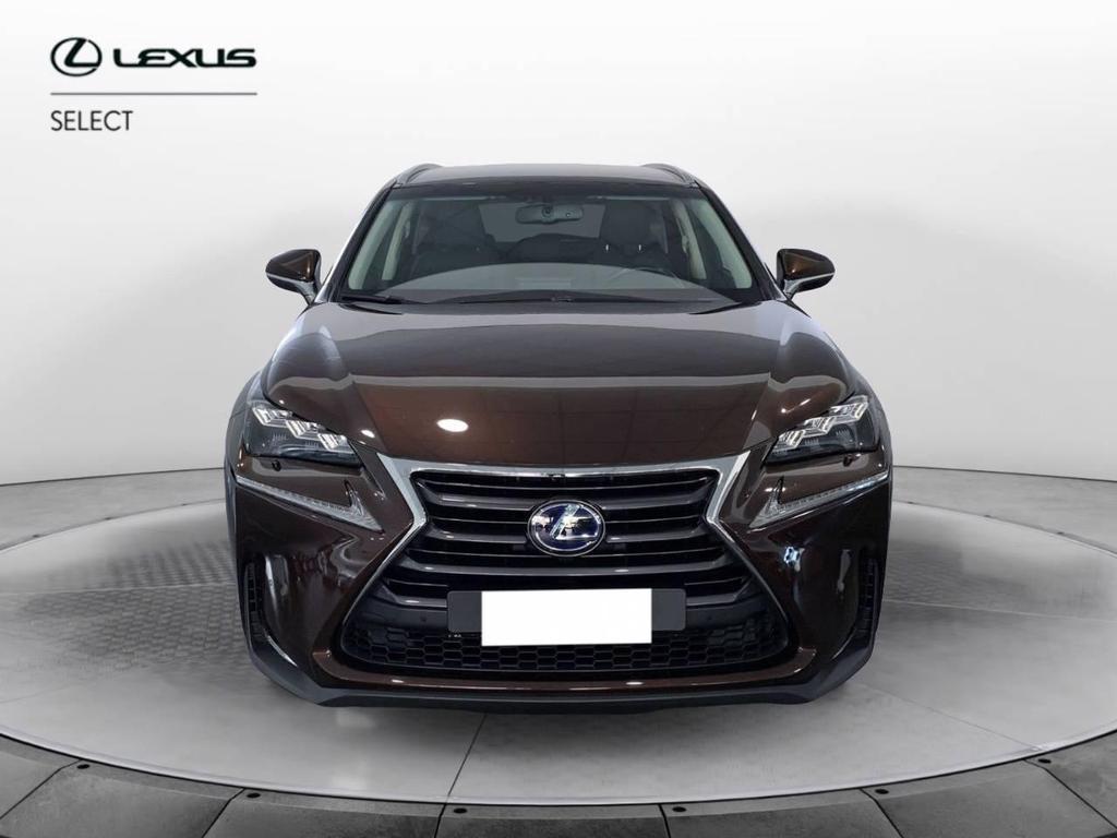 Lexus NX 300 300 2.5 Hybrid Luxury 4WD CVT