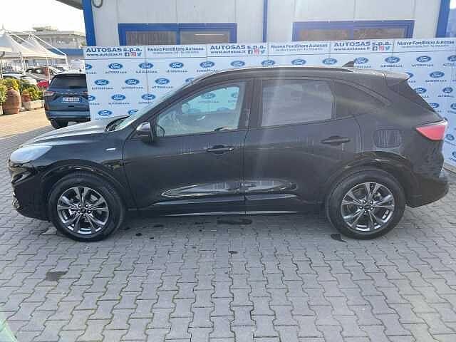 Ford Kuga 1.5 EcoBlue 120 CV aut. 2WD ST-Line X