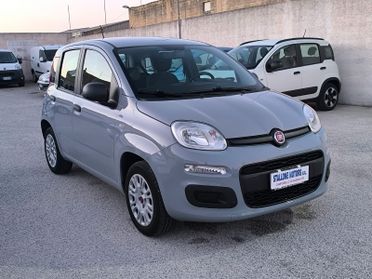 Fiat Panda 1.2 Easy 69 Cv 2020