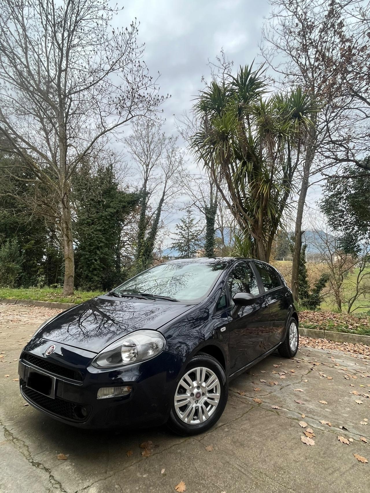 PREZZO RIBASSATO !!PUNTO EVO 1.3 ACCESSORIATISSIMA