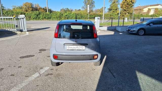 Fiat Panda Panda 1.0 hybrid s //// MEOPATENTATO ////