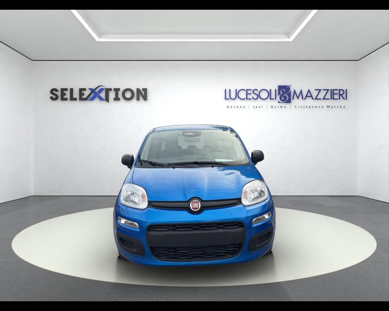 FIAT Panda 3ª serie - Panda 1.0 FireFly S&S Hybrid
