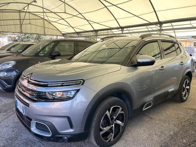 Citroen C5 Aircross C5 Aircross BlueHDi 130 S&S EAT8 Shine