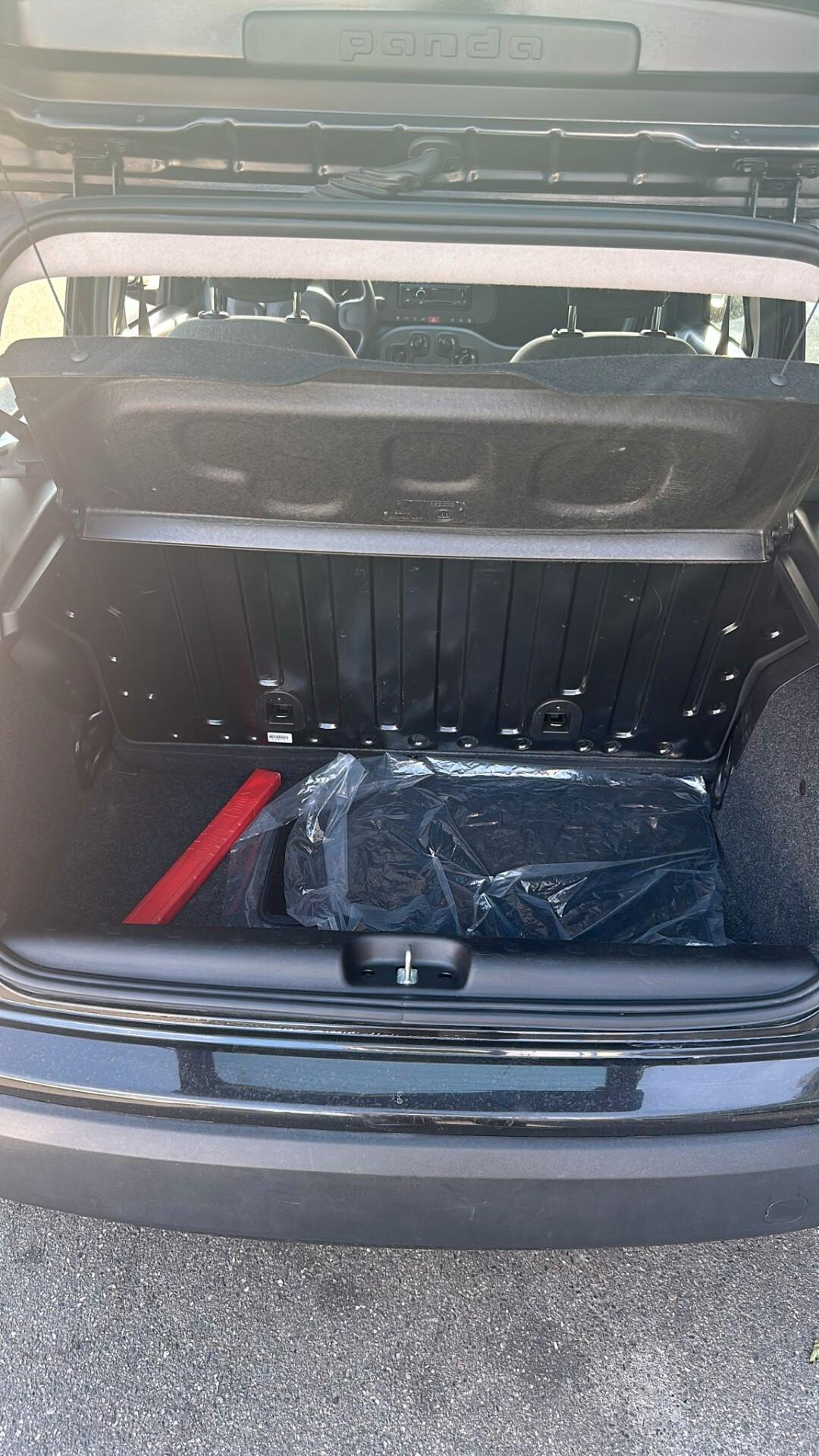 Fiat Panda 1.0 FireFly S&S Hybrid