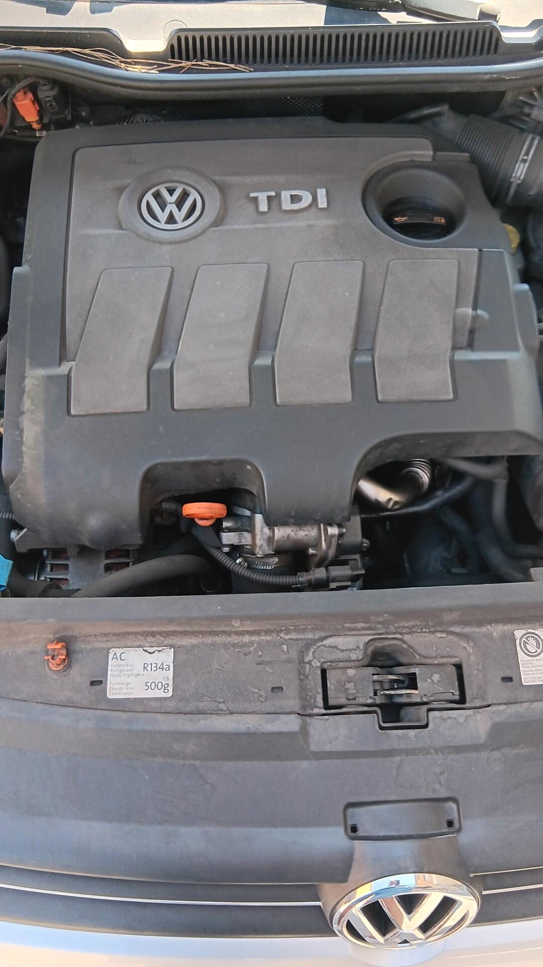 Volkswagen Polo 1.6 TDI 90CV DPF 5 porte Highline