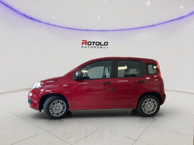 FIAT Panda 1.0 FireFly S&S Hybrid SENZA FINANZIAMENTO