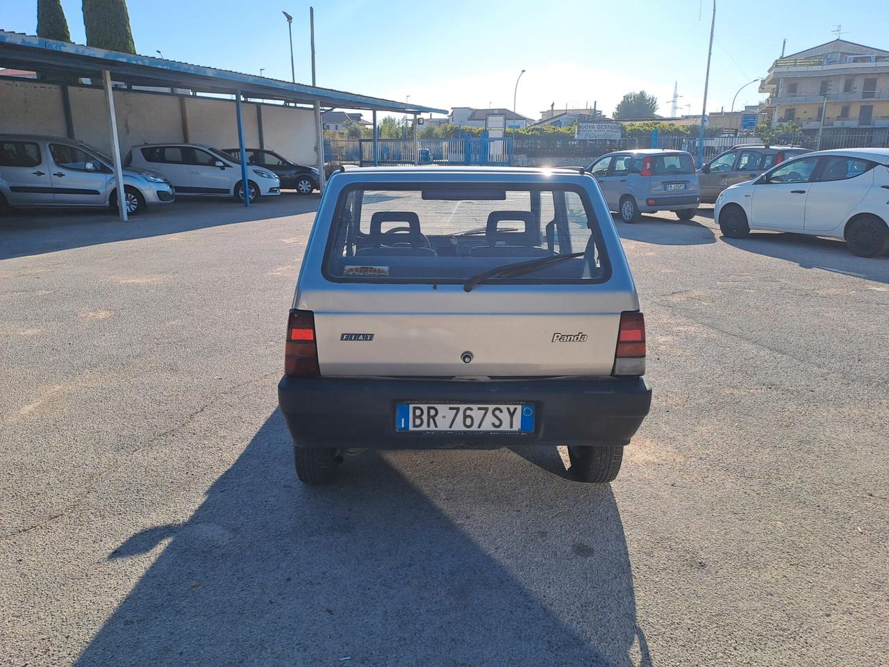 Fiat Panda 1100 i.e. cat Young