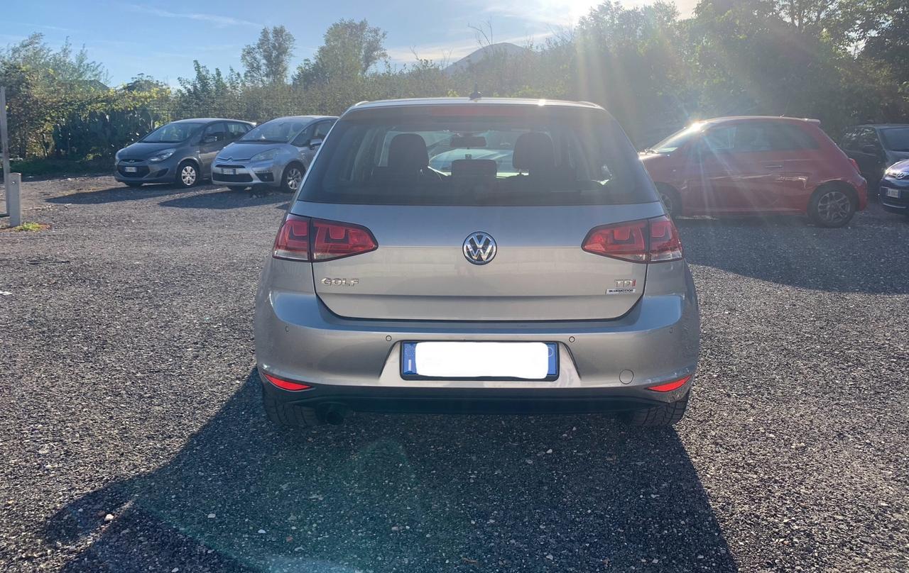 Volkswagen Golf 1.6 TDI 110cv 5p Highline - 2017