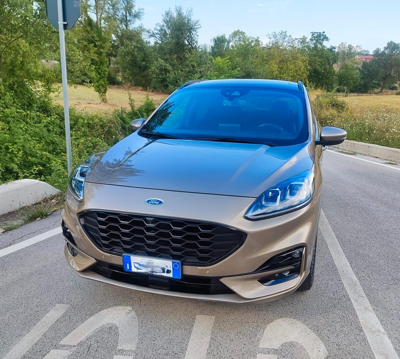 Ford Kuga 1.5 EcoBlue 120 CV 2WD ST-Line E6