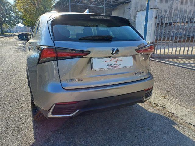 LEXUS NX 300 Hybrid Business Unico Proprietario Cronologia Tagl