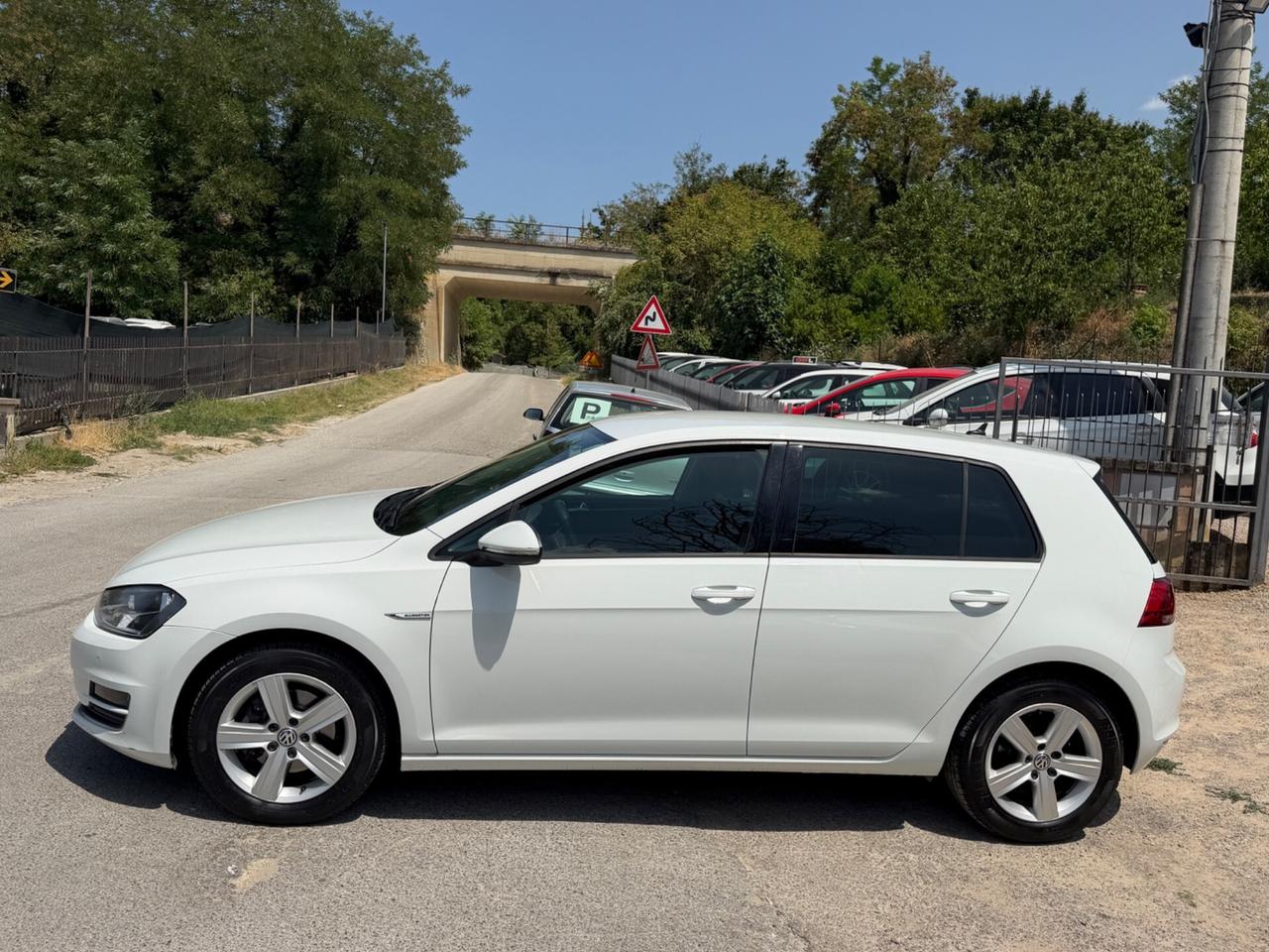 Volkswagen Golf 1.4 TGI DSG 5p. Executive BlueMotion