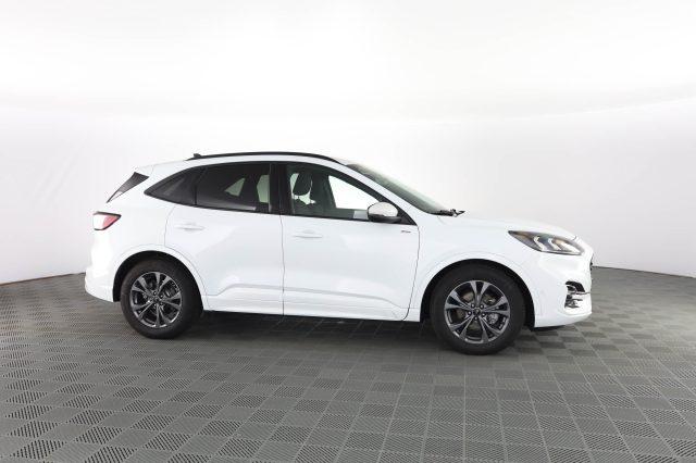 FORD Kuga Kuga 2.0 EcoBlue 120 CV aut. 2WD ST-Line