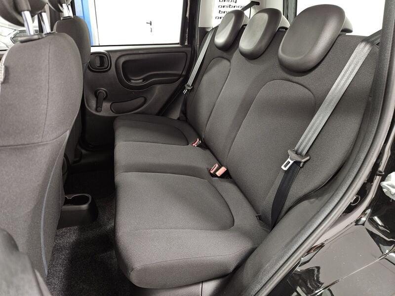 FIAT Pandina 1.0 firefly hybrid Icon s&s 65cv