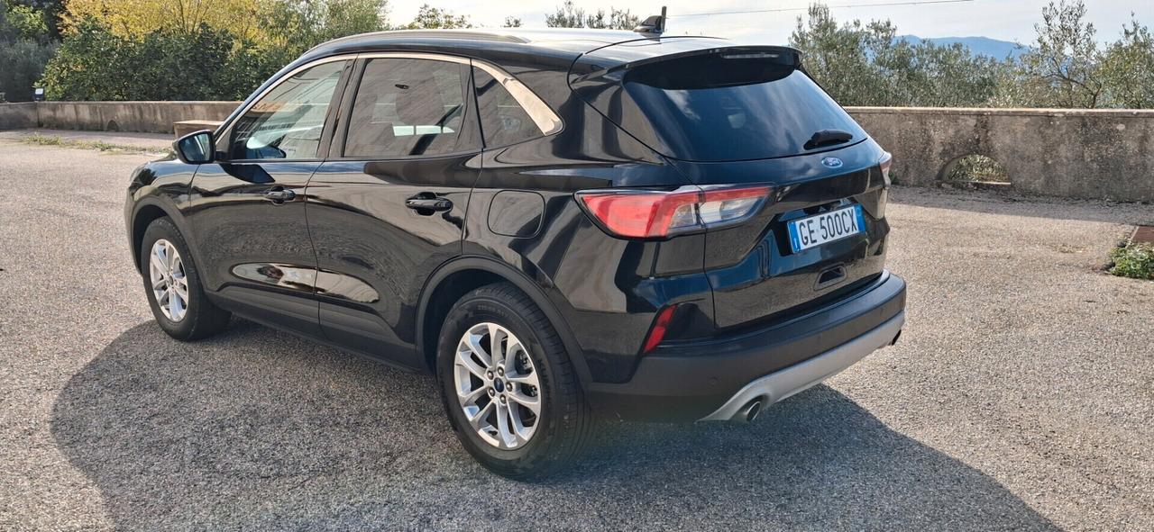 Ford Kuga 1.5 EcoBlue 120 CV 2WD Titanium