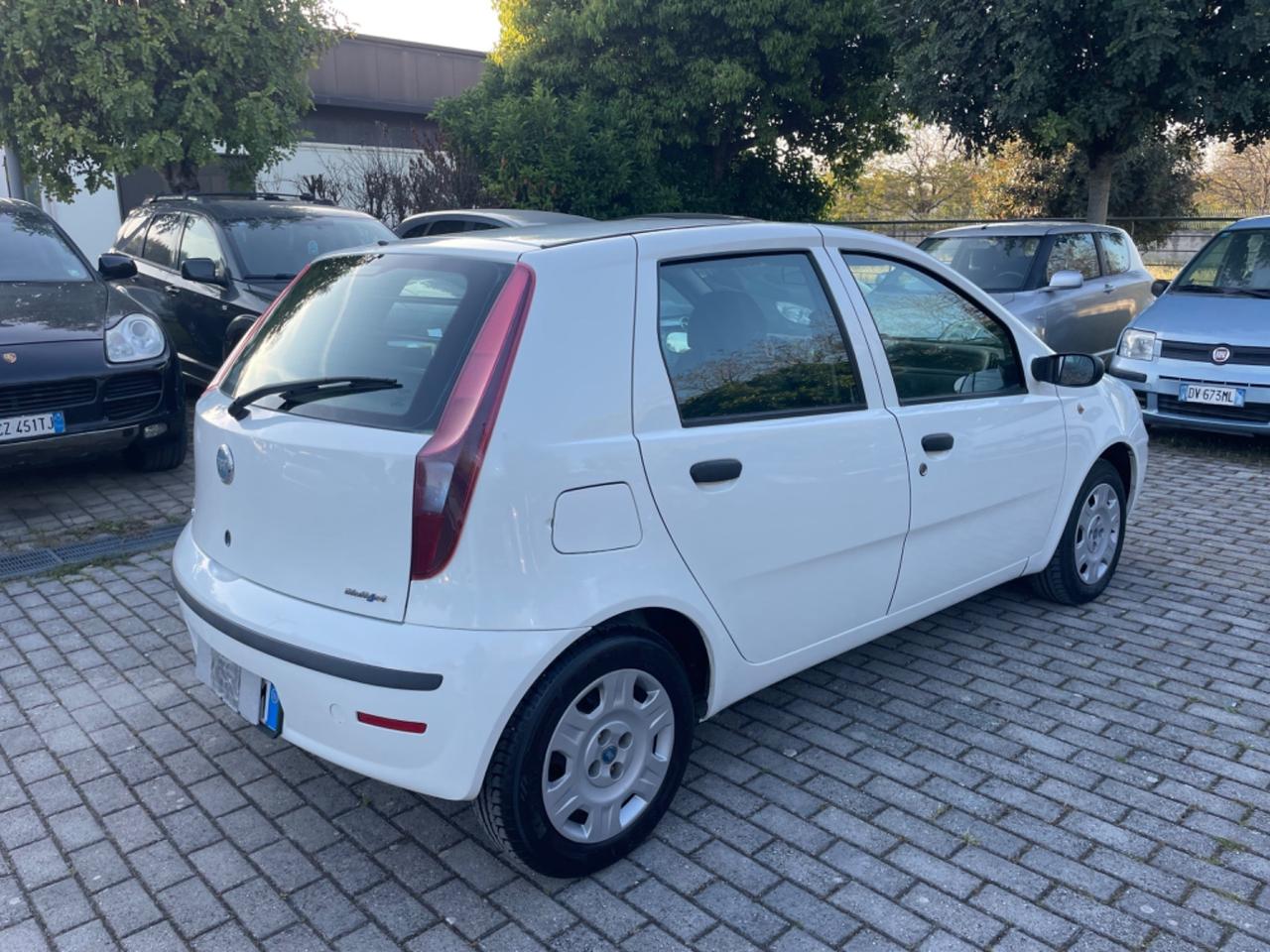 Fiat Punto 1.3 Multijet 16V 5 porte Dynamic Autocarro 4p.ti