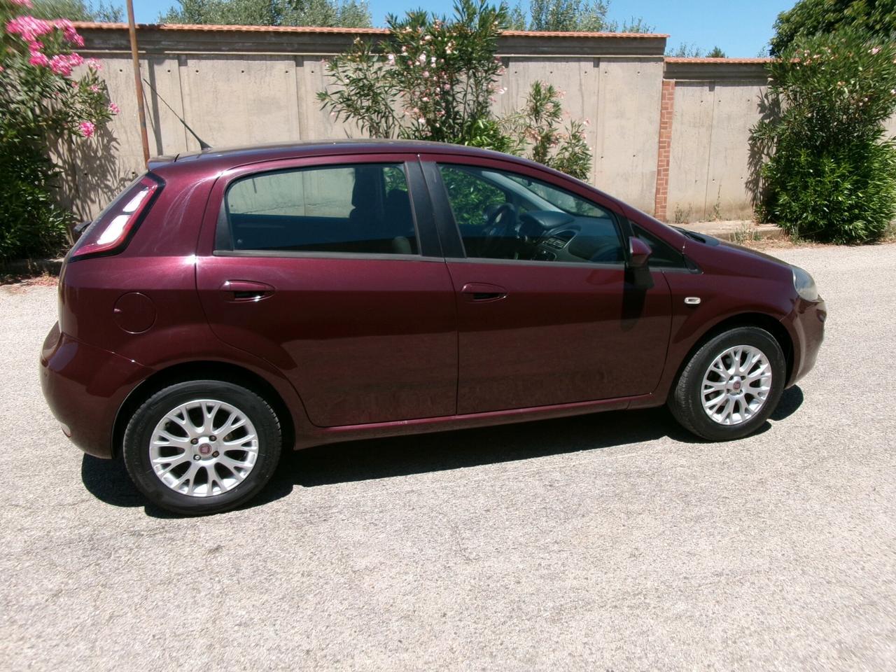 Fiat Punto Evo Punto Evo 1.2 5 porte S&S Active