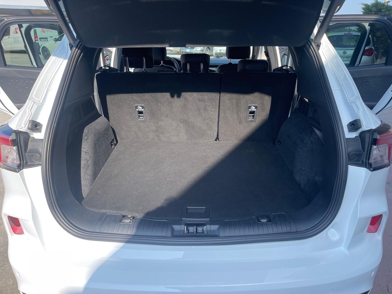 Ford Kuga 1.5 EcoBlue 120 CV aut. 2WD ST-Line