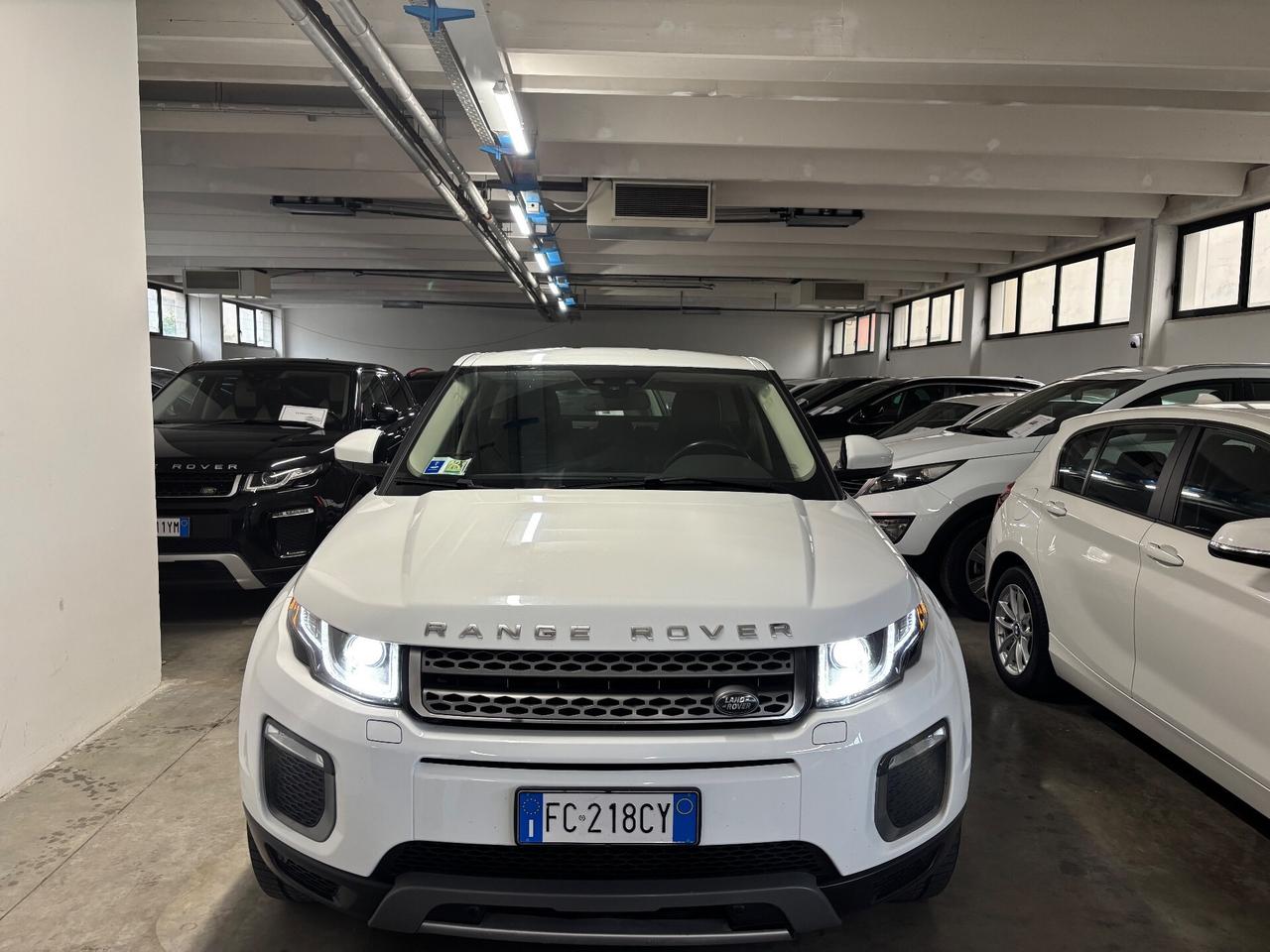 Range Rover Evoque 2.0 TD4 150 CV Pure