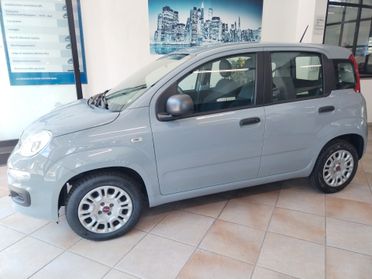 Fiat Panda 1.2 Easy - 11/2020