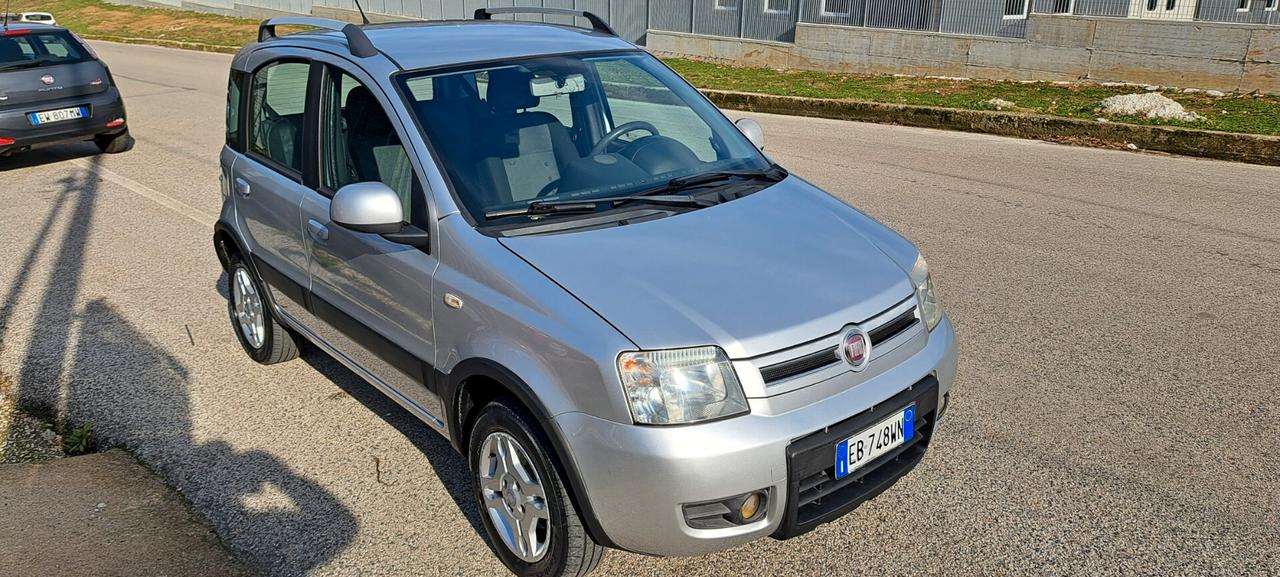 Fiat Panda 1.2 Climbing Natural Power