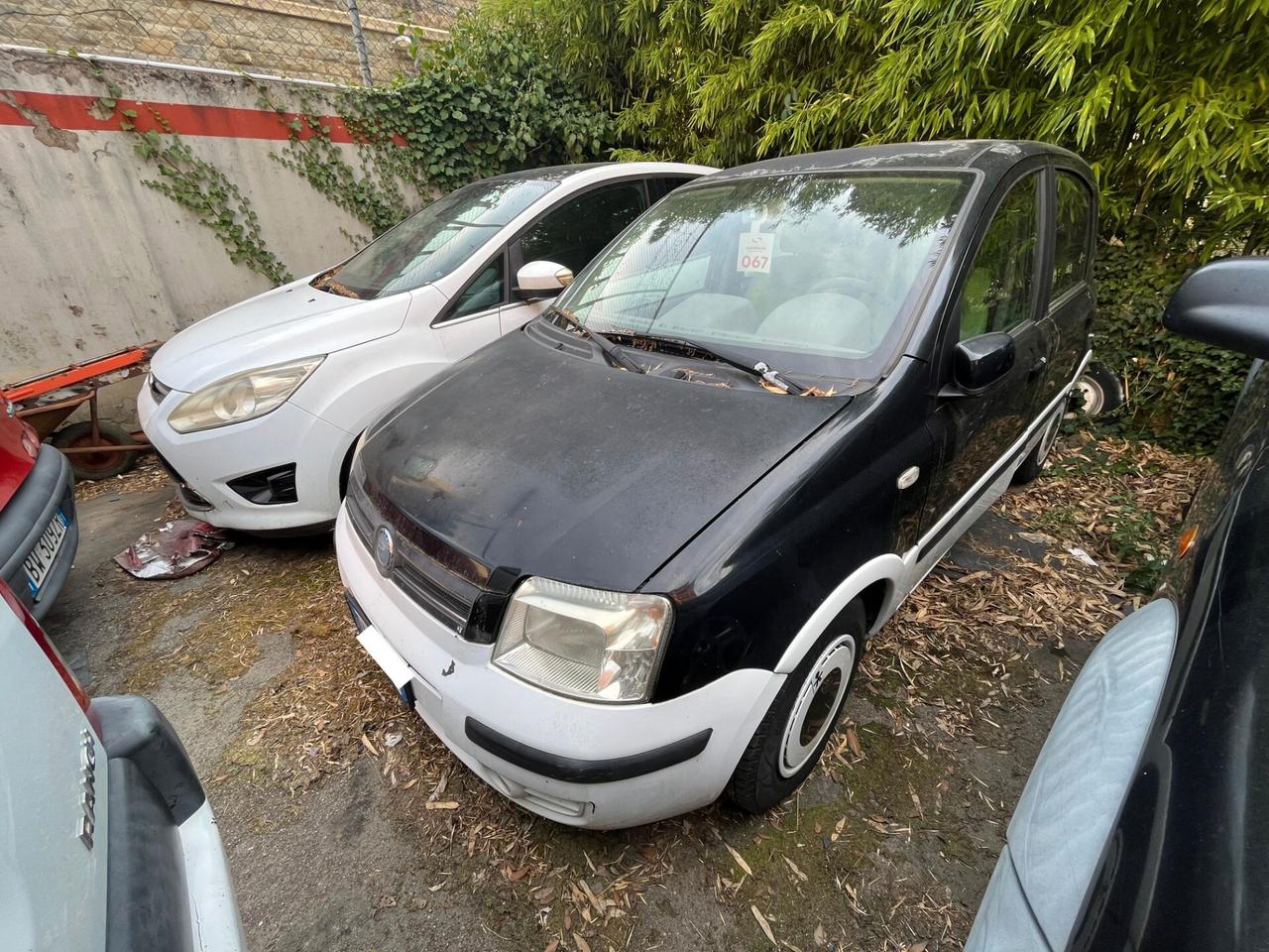 Fiat Panda 1.2 Alessi