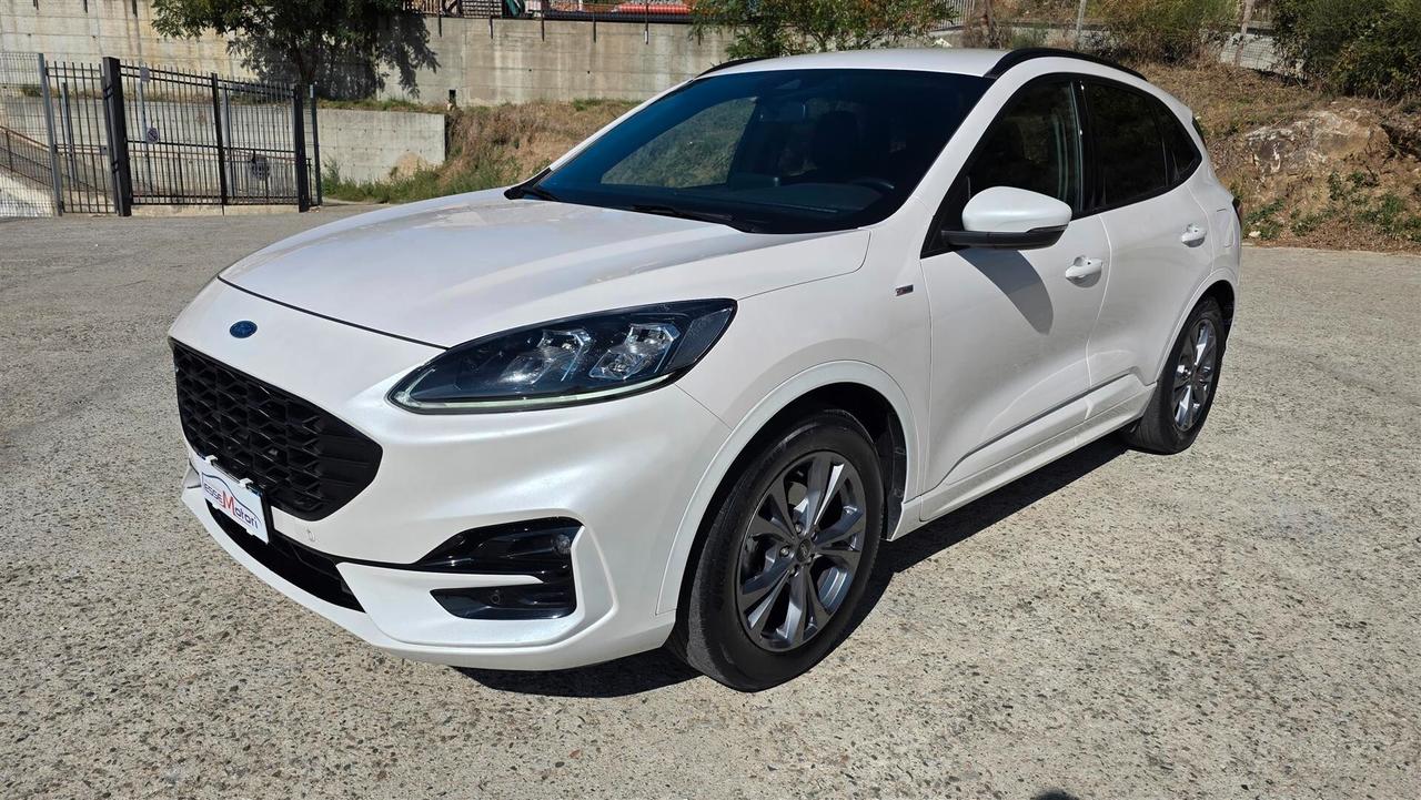 Ford Kuga 1.5 EcoBlue 120 CV aut. 2WD ST-Line X
