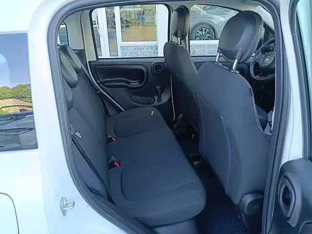 Fiat Panda Hybrid 1.0 FireFly 69cv ICON AZIENDALE