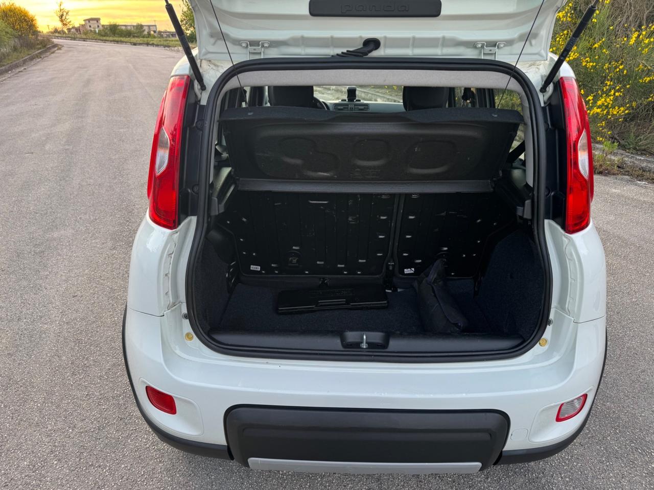 Fiat Panda 1.3 MJT 95 CV S&S 4x4