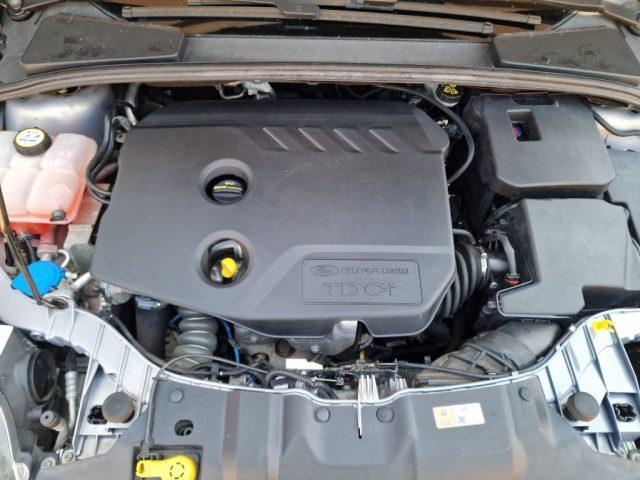 FORD Focus 1.6 TDCi 115 CV Titanium