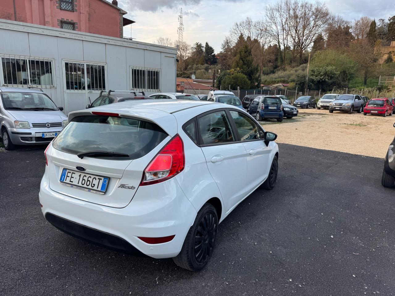 Ford Fiesta 1.5 TDCi 75CV 5 porte Black & White Edition