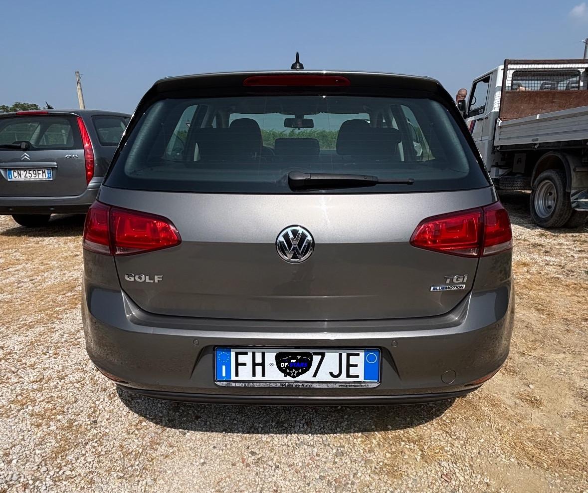 Volkswagen Golf 1.4 TGI 5p. Executive BlueMotion