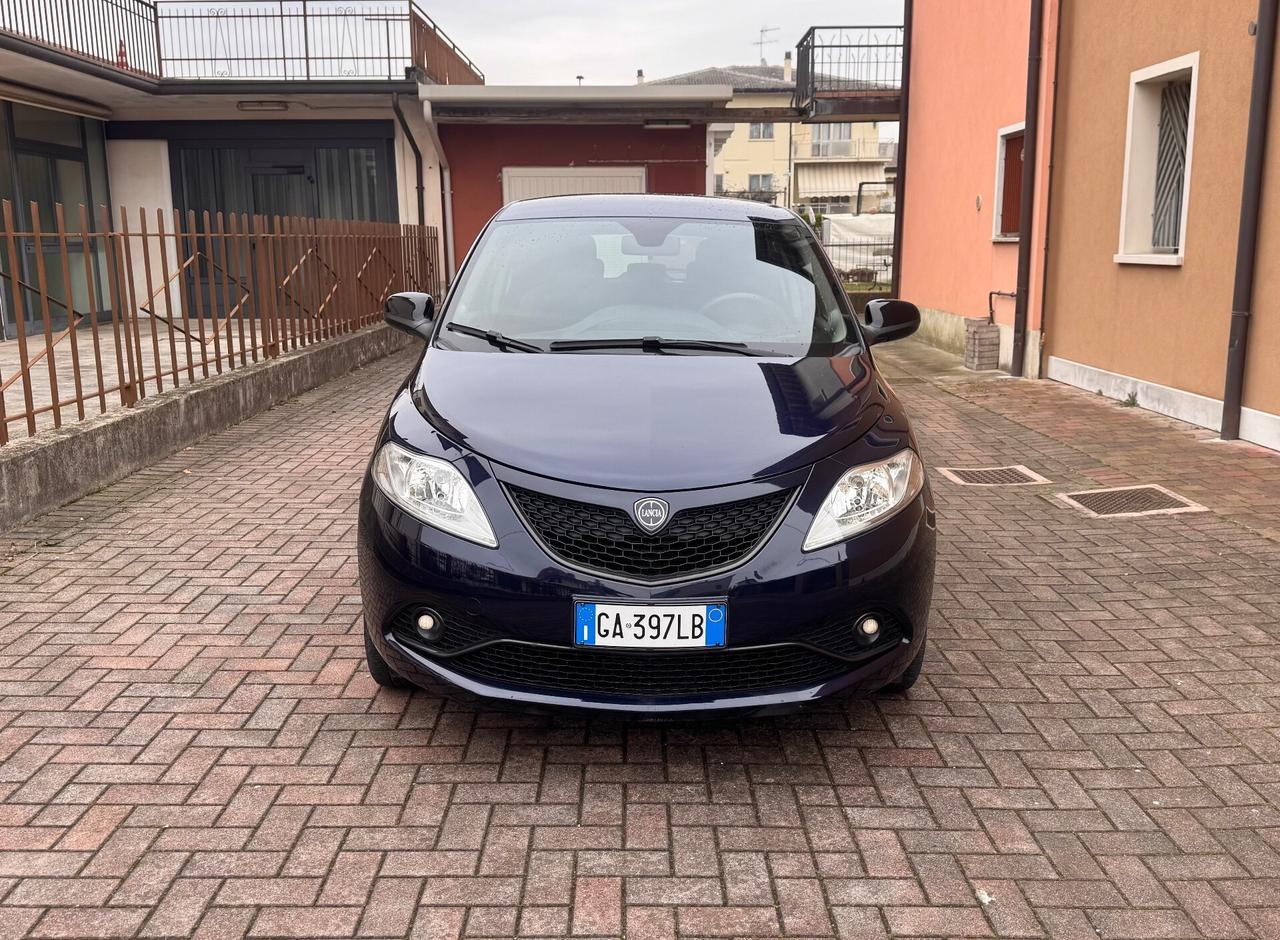 Lancia Ypsilon 1.2 69 CV 5 porte GPL Ok Neopatentati