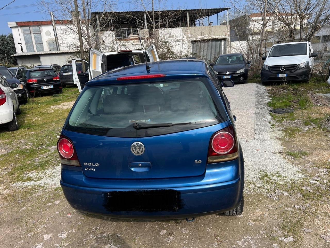 Volkswagen Polo 1.4/80CV 16V 5p. Comfort. BiFuel G