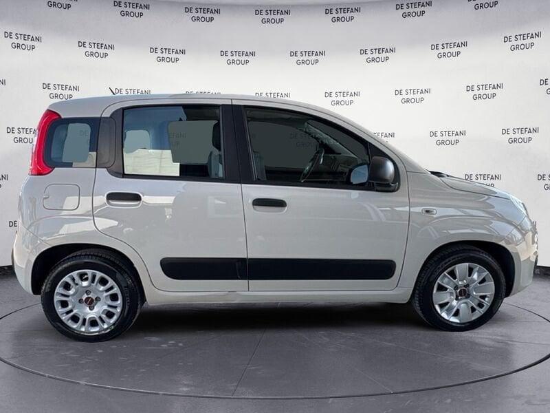 FIAT Panda Panda 1.2 Easy 69cv